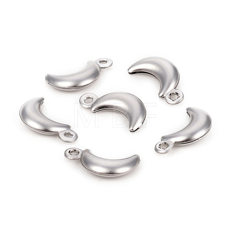 Non-Tarnish 304 Stainless Steel Charms STAS-L244-17P-1