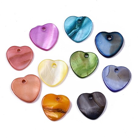 Natural Freshwater Shell Charms X-SHEL-R113-17-1