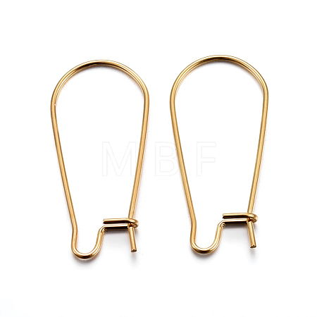 304 Stainless Steel Hoop Earring Findings STAS-P223-01G-04-1
