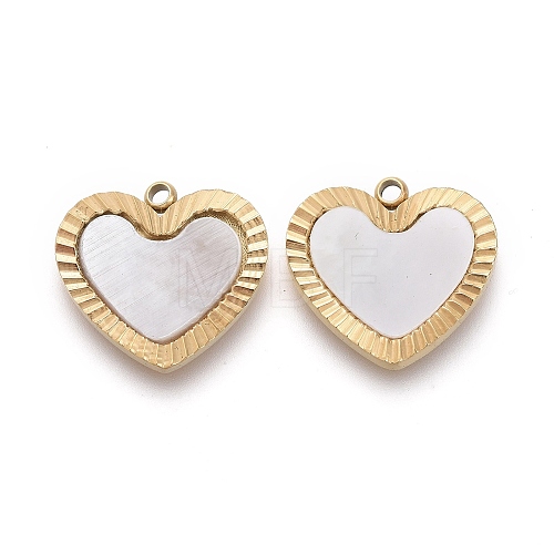 Natural Shell Charms STAS-H100-05G-1