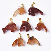 Natural Agate Pendants G-R459-015B-2