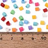 FGB Baking Paint Glass Seed Beads SEED-Q040-09A-M02-4