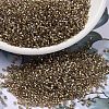 MIYUKI Delica Beads X-SEED-J020-DB2396-1