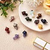 12 Pieces Gemstone Mushroom Charm Pendant Crystal Mushroom Natural Stone Pendants Mixed Color for Jewelry Necklace Earring Making Crafts JX550C-2