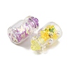 Luminous Glass & Plastic Pendants GLAA-G129-05-4
