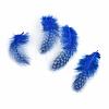 Chicken Feather Costume Accessories FIND-Q048-17-3