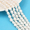 Natural Cultured Freshwater Pearl Beads Strands PEAR-P064-20K-08A-1