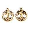 304 Stainless Steel Pendants SA-CBA1839-20G-1