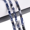Natural Blue Spot Jasper Beads Strands GG-N002-01A-25-1