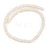 Natural Cultured Freshwater Pearl Beads Strands PA-CBAFEE8-08-3