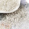 8/0 Glass Seed Beads SEED-Z001-C-E08-1