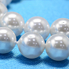 Round Shell Pearl Bead Strands X-BSHE-L011-10mm-A013-3