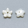 Natural White Shell Beads SSHEL-S260-005-2