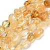 Natural Citrine(Heated) Beads Strands G-G337-B02-8x10mm-2