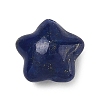 Natural Lapis Lazuli Beads G-T149-01F-1