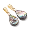 Abalone Shell/Paua Shell Pendants PALLOY-JF05263-3