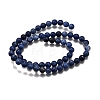 Natural Sodalite Round Bead Strands G-P072-27-10mm-3