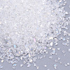 Transparent Glass Seed Beads SEED-Q029-C-01-2