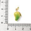 Brass Enamel Pendants KK-H523-01F-G02-3