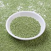 MIYUKI Round Rocailles Beads X-SEED-G007-RR0439-2