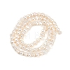 Natural Cultured Freshwater Pearl Beads Strands PEAR-P064-19B-04A-3