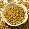 Baking Paint Glass Seed Beads X1-SEED-A032-02A-14-2