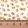Picasso Glass Seed Beads GL-N001-02G-4