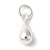 925 Sterling Silver Charms STER-M120-01C-S-1