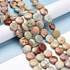 Natural Aqua Terra Jasper Beads Strands G-E572-02-4