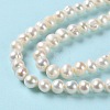 Natural Cultured Freshwater Pearl Beads Strands PEAR-E018-43-4