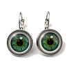 Eye Glass Leverback Earrings with Brass Earring Pins EJEW-Q798-01E-1