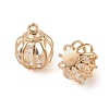 Iron Glass Bead Cage Pendants IFIN-N014-01KCG-2