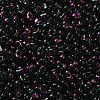 Spray Painted Glass Seed Beads SEED-F005-10A-03-3