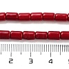 Synthetic Turquoise Beads Strands TURQ-G120-4x6mm-07-3
