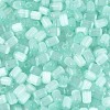 Drawbench Style Glass Seed Beads SEED-N008-10H-3