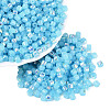 FGB Imitation Jade Colours Glass Seed Beads SEED-Q040-07A-C05-1