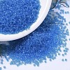 MIYUKI Delica Beads SEED-X0054-DB1318-1