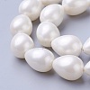 Electroplate Shell Pearl Beads Strands BSHE-O019-05-3