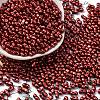 Baking Paint Glass Seed Beads SEED-L011-12A-05-1