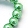 Baking Painted Pearlized Glass Pearl Round Bead Strands HY-Q003-10mm-69-3