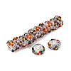 Handmade Lampwork & Brass Core European Beads LAMP-N044-06S-01-2