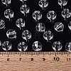 FGB Transparent Glass Seed Beads SEED-N013-01C-02-4