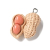 Resin Iron Pendants RESI-D280-17-1