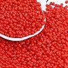 Baking Paint Glass Seed Beads X1-SEED-K010-A12-1