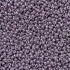 MIYUKI Round Rocailles Beads SEED-JP0008-RR0437-3