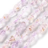 Natural Amethyst Beads Strands G-P497-01C-26-1