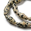 Natural Dalmatian Jasper Beads Strands G-A223-A08-01-4