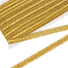 Polyester Braided Metallic Lace Trim SRIB-WH0011-180C-01-1