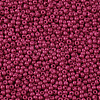 11/0 Grade A Baking Paint Glass Seed Beads X-SEED-N001-A-1058-2