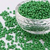 8/0 Glass Seed Beads X2-SEED-A010-3mm-47-1